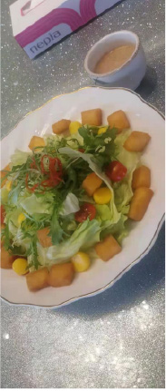 公海彩船·6600(中国游)官方网站