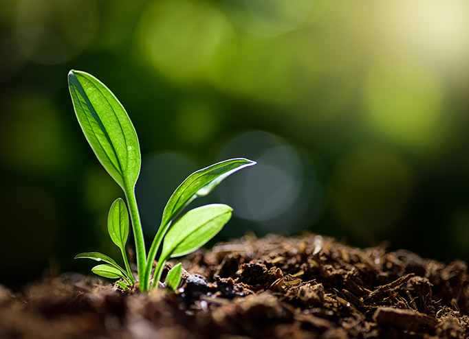 公海彩船·6600(中国游)官方网站